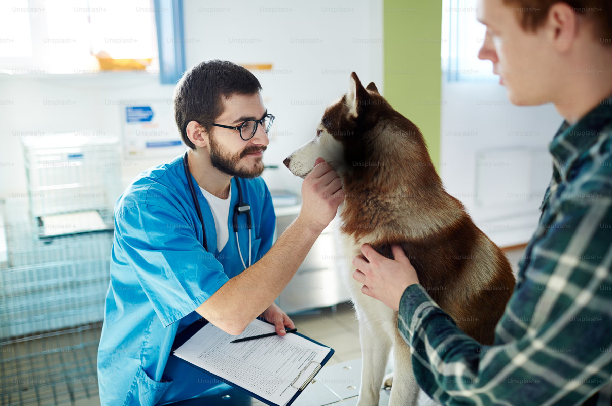 Természetes Frissesség Tartósítószer Nélkül