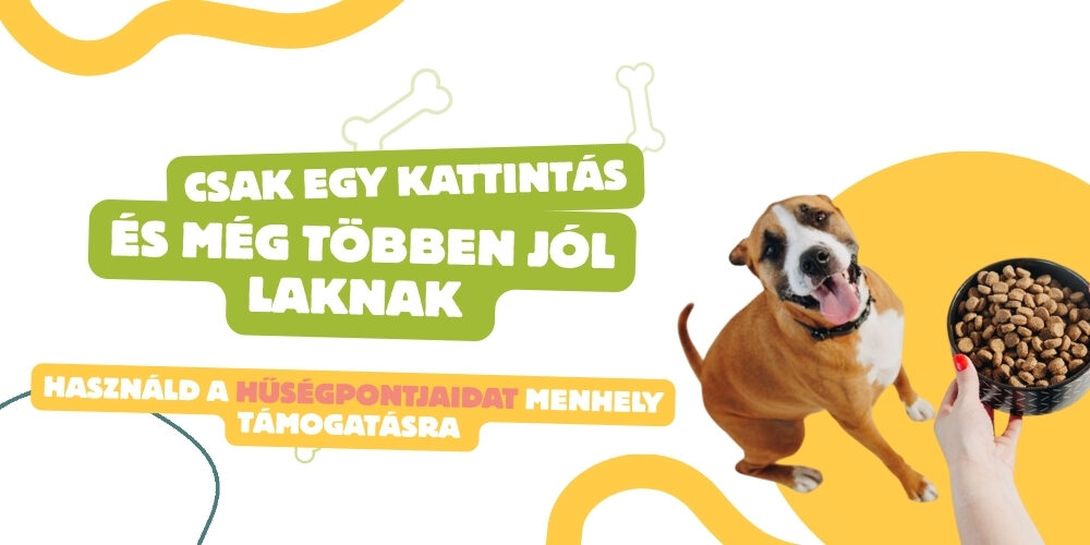 fatpaws menhely támogatás