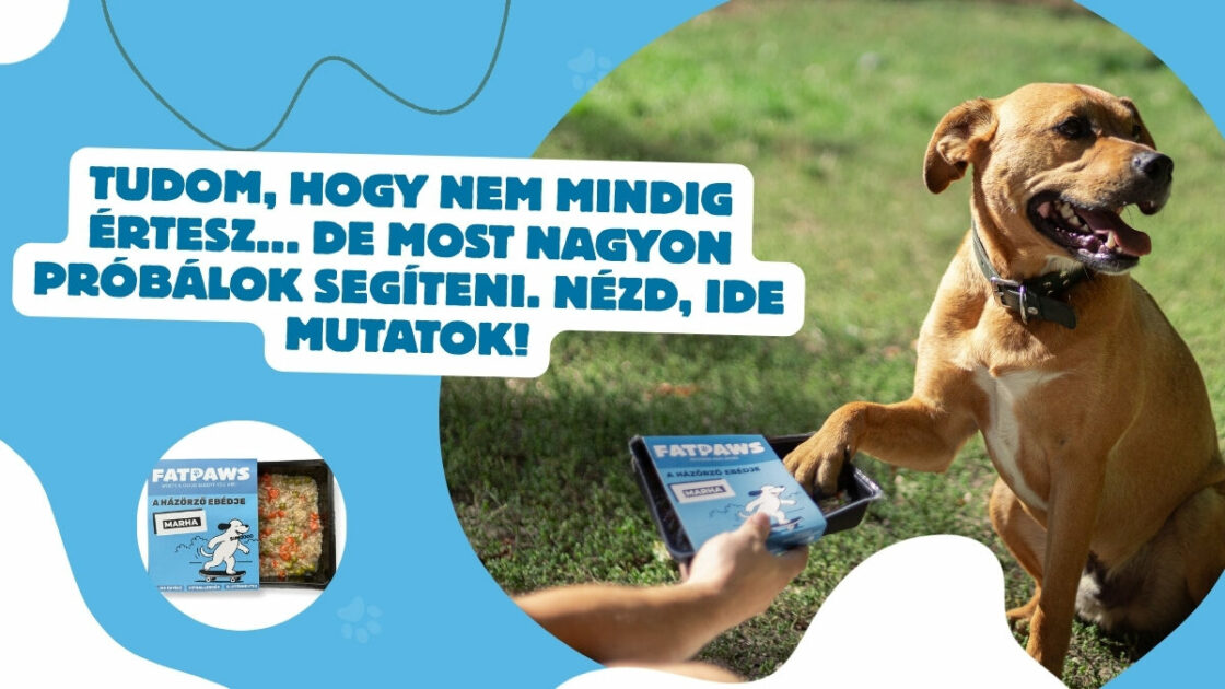 fatpaws-banner-marhas